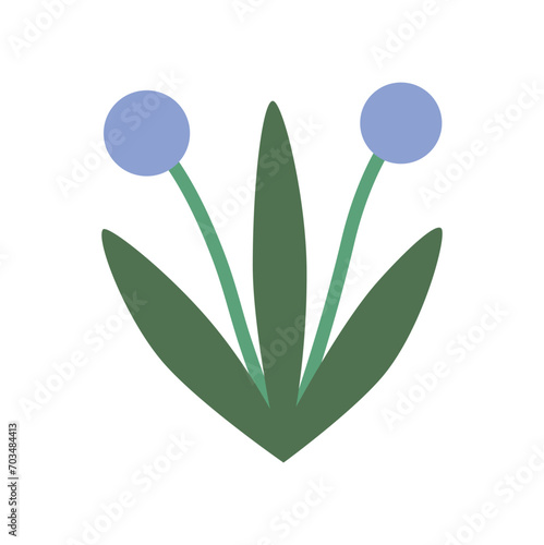 Summer and spring flora, plant and herb with petal, leaf. Cute modern flower. Blossomed flower element on white background. 
