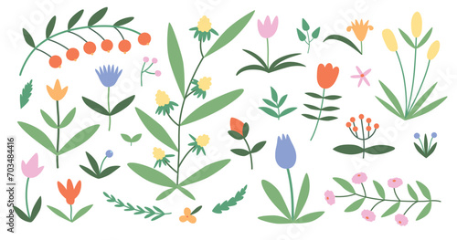 Collection of wild blooming meadow flowers isolated on white background. Bundle of wildflowers used in floristry. Set of decorative floral design elements. Flat colorful botanical vector illustration.