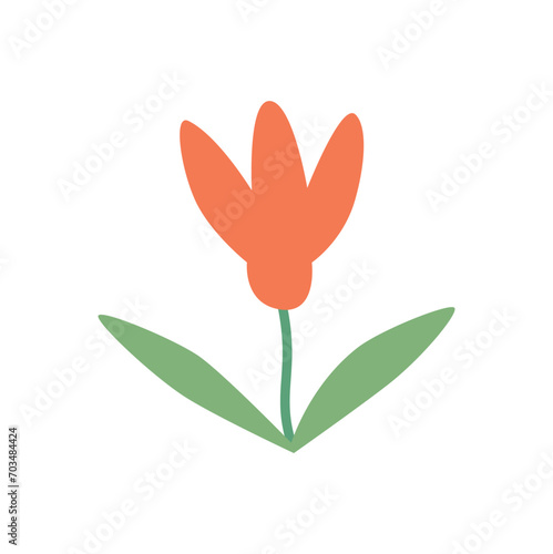 Summer and spring flora, plant and herb with petal, leaf. Cute modern flower. Blossomed flower element on white background. 