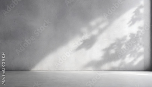 abstract empty modern concrete wall or room with tree shadow and rough floor industrial interior background template