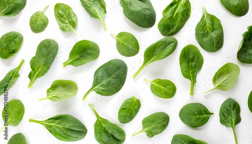 spinach pattern background on white top view