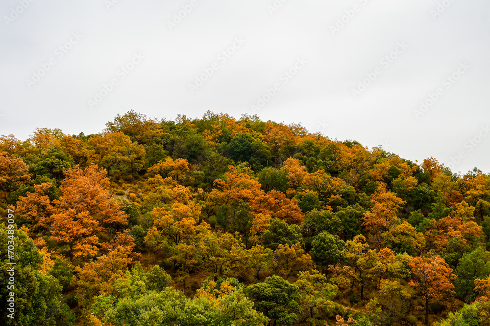 Mountain covered with forest, with autumn colors.