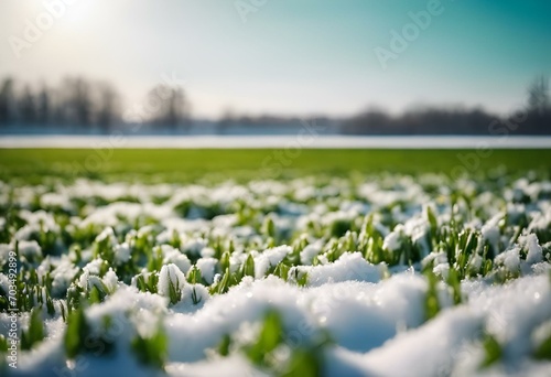 AI generated illustration of a tranquil winter landscape featuring a sunlit snowy field photo