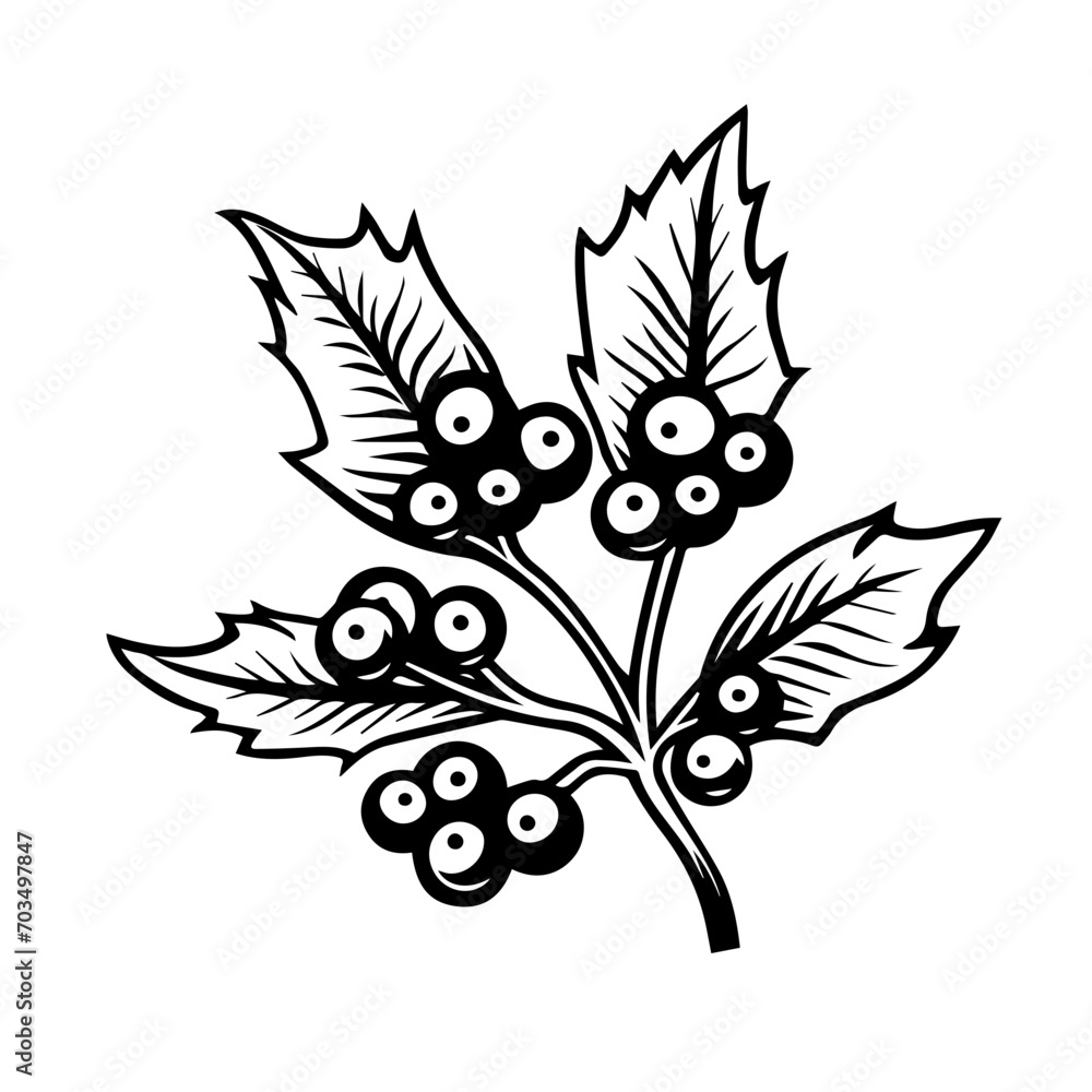 Festive Holly Berries and Leaves Vector Festive Holly Berries and Leaves Vector