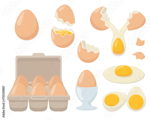 Set of fresh eggs in box, broken eggs, fried and boiled eggs, eggshells. Ingredients for baking and cooking. Healthy organic food. Vector flat icon illustration isolated on white background.