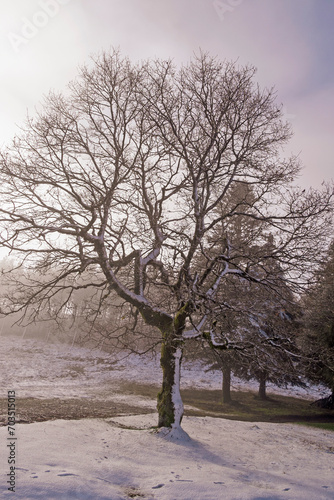 Dar a Face | Neve Serra da Lousã - Portugal