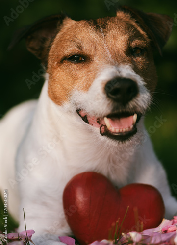 Dog hugging red heart as symbol of dog love
