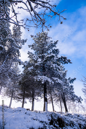 Dar a Face | Neve Serra da Lousã - Portugal