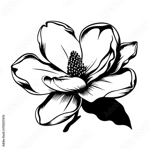 Elegant Magnolia Flower Vector Art