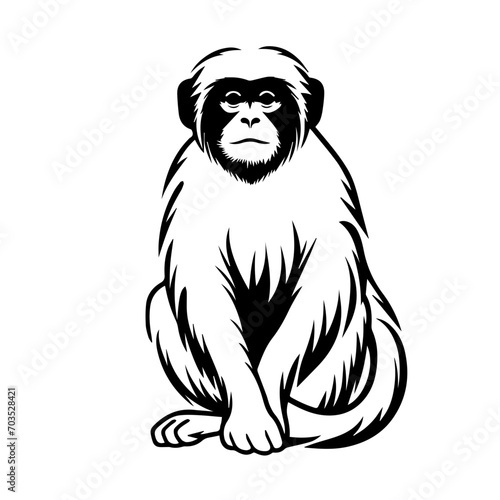 Playful Monkey Vector Illustration
