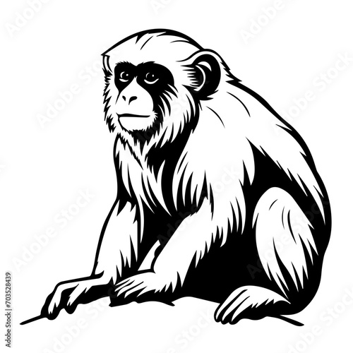 Playful Monkey Vector Illustration