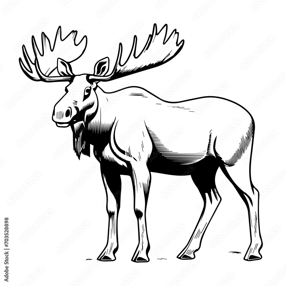Majestic Moose Vector Art Majestic Moose Vector Art
