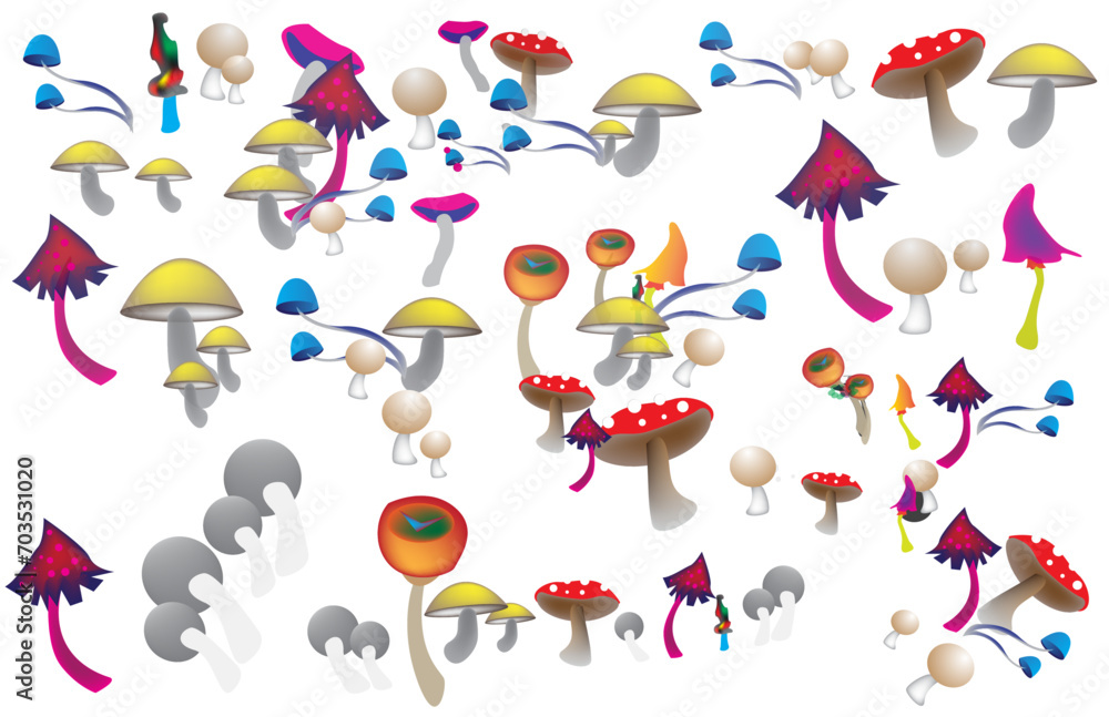 mushrooms mushrooms
