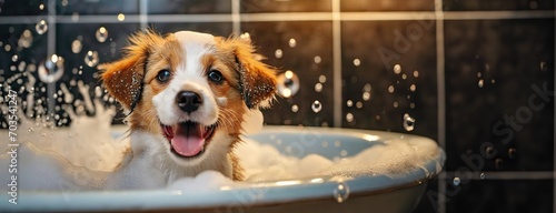 A playful puppy in a bubble bath with joyous splashes. A small, lively dog with droplets of water in the air enjoys a bath in a soap-filled tub, excitement evident. National Puppy Day. Panorama.