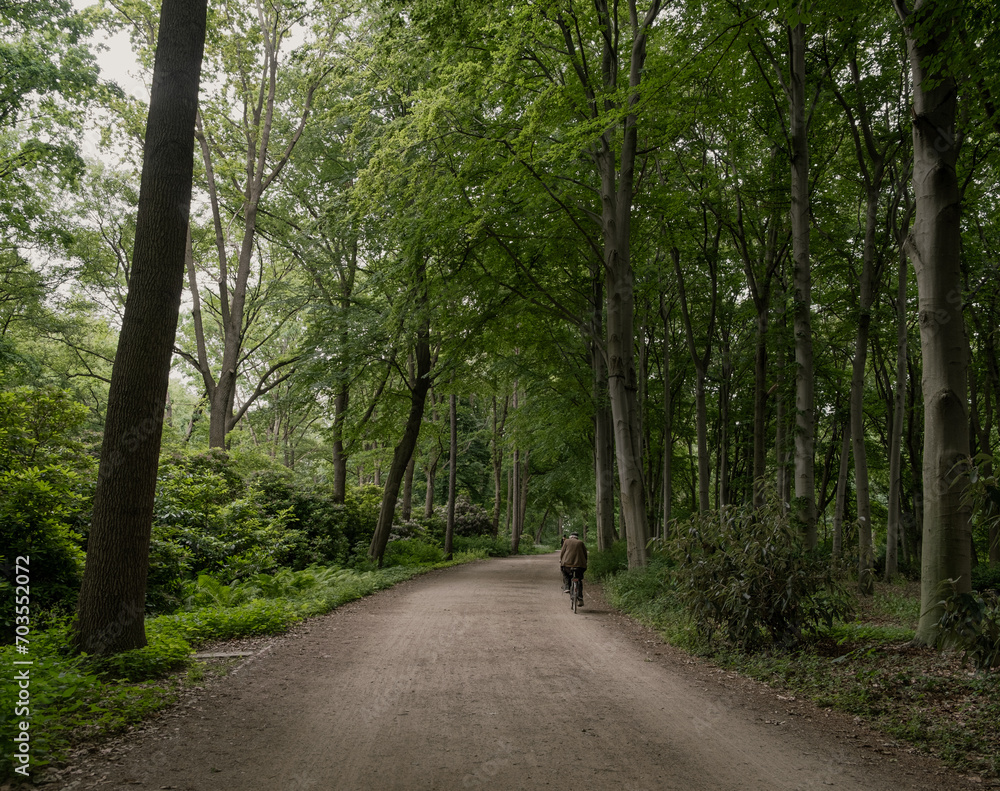 Fototapeta premium Biking in the woods