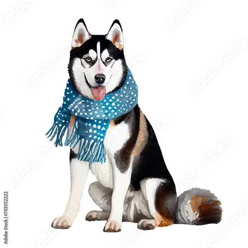 cute husky dog wearing scarf, graphic resources with transparent background, animal watercolor drawing