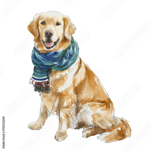 cute golden retriever dog wearing scarf, graphic resources with transparent background, animal watercolor drawing