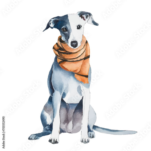 cute Italian Greyhound / whippet dog wearing scarf, graphic resources with transparent background, animal watercolor drawing