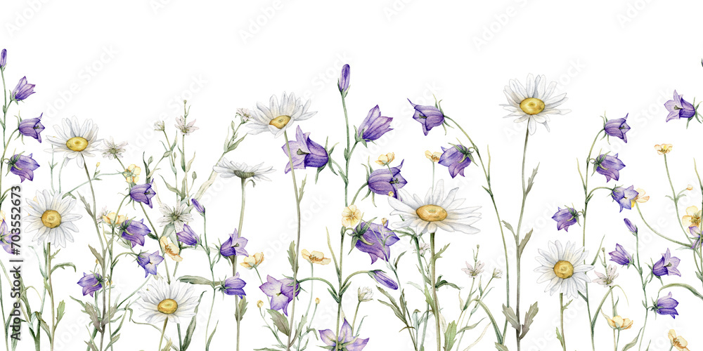Seamless border watercolor Daisy and bluebell. Hand drawn illustration of Chamomile. White and violet blossom flower on isolated background. Drawing botanical invitation cards. paint summer wildflower