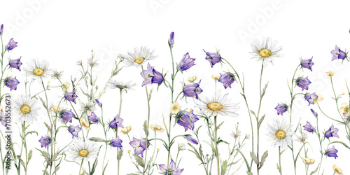 Seamless border watercolor Daisy and bluebell. Hand drawn illustration of Chamomile. White and violet blossom flower on isolated background. Drawing botanical invitation cards. paint summer wildflower photo