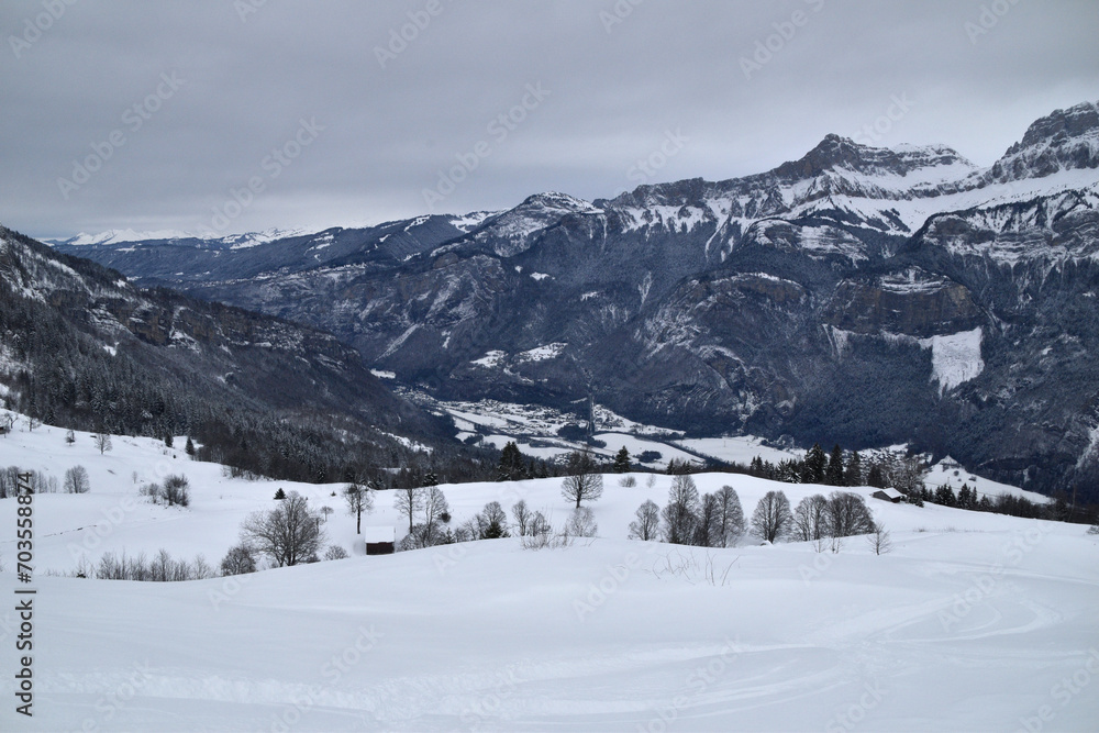 Winter landscape in the French Alps: mountains and trees