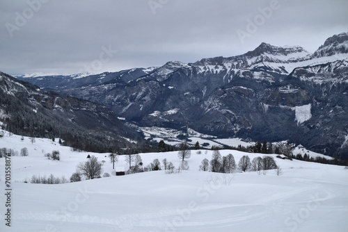 Winter landscape in the French Alps: mountains and trees © abentson
