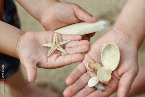 in the happy children's hands shells in nature by the sea background