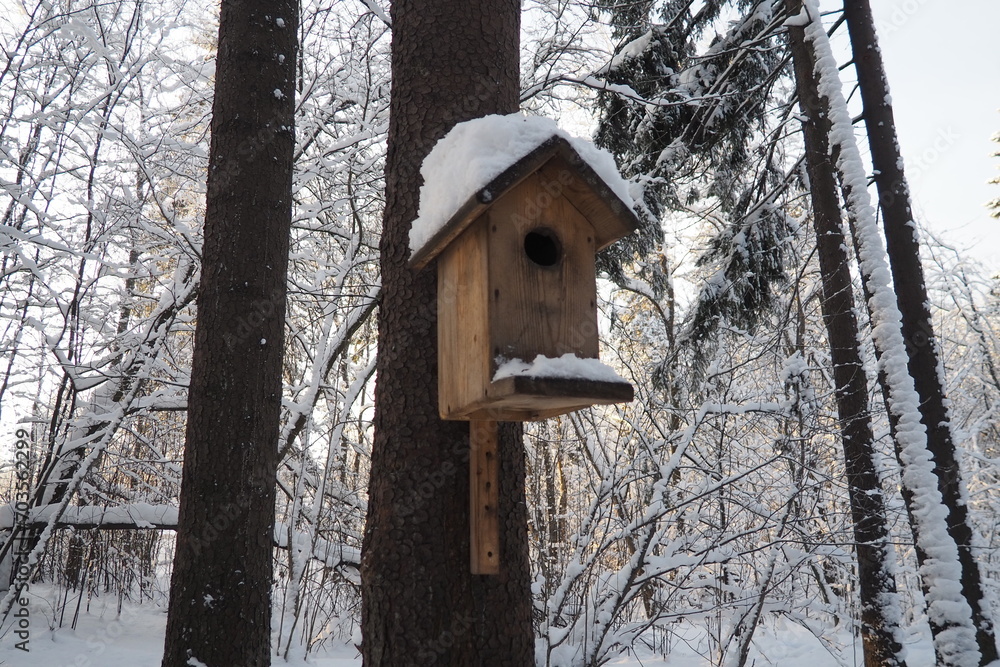 A birdfeeder, bird table, or tray feeder is a device placed outdoors to supply bird food to birds. Bird feeding. Homemade bird feeders supply seeds, bread or nuts. Frosty winter day in the forest
