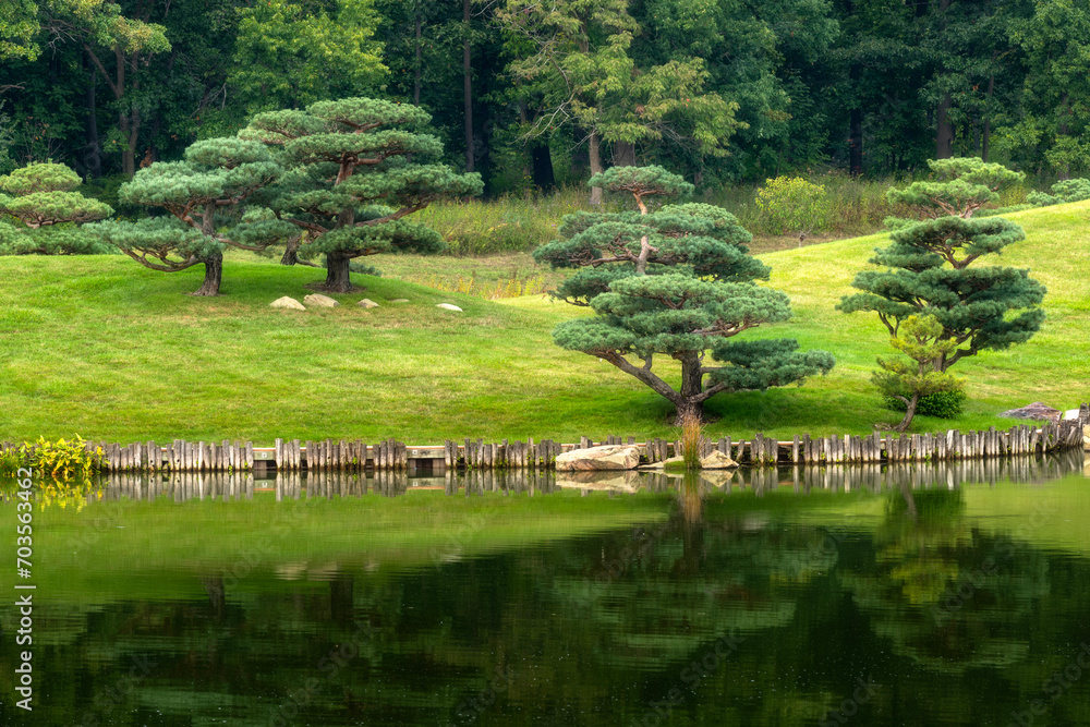 Fototapeta premium Japanese trees in the rock park