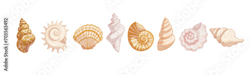 Set of colorful seashells. Vector graphics.
