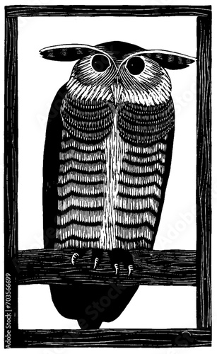 Vector illustration of an owl on a perch, vintage print, antique wood print, vintage, real 1930s illustration.