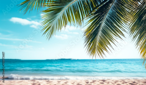 The tropical island's summer scene features palm tree branches casting shade on the sandy beach. © Vladyslav