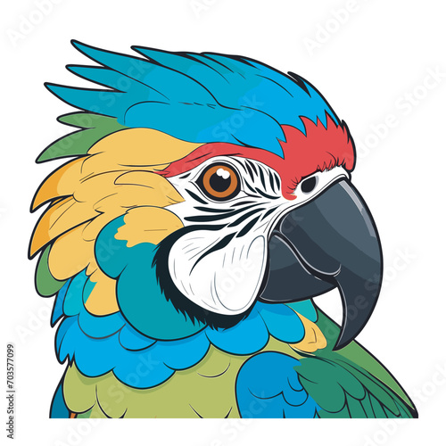 potrait bird parrot colorful vector illustration