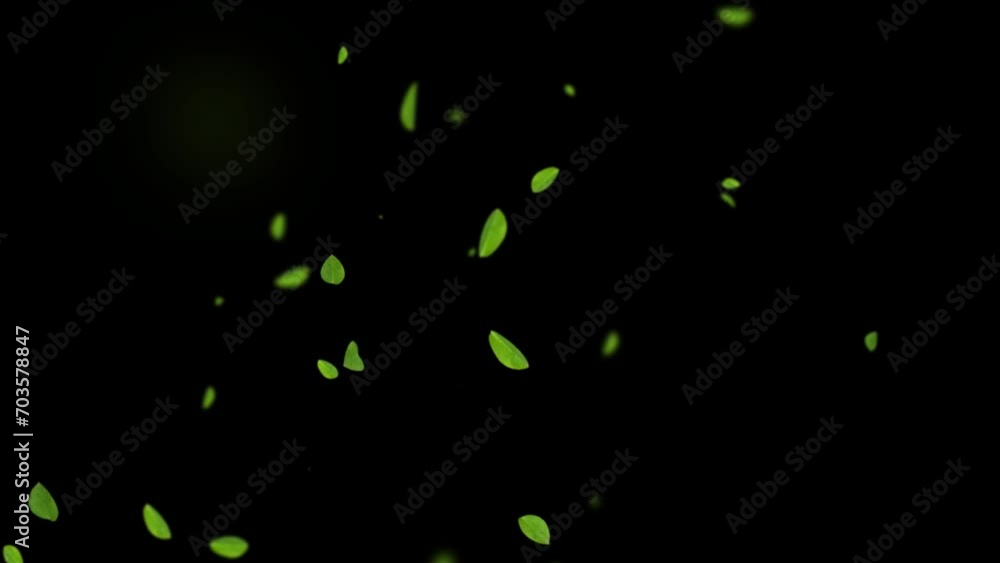 Green leaves are flying in slow motion. transparent alpha mask with a black background