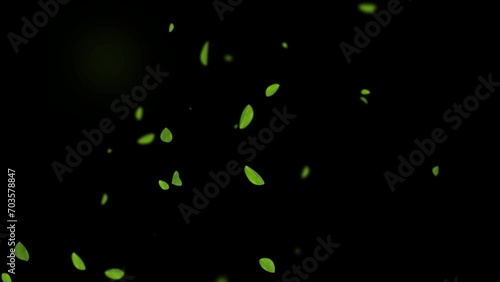 Green leaves are flying in slow motion. transparent alpha mask with a black background