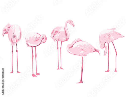 Art Deco or WPA poster art of a flock of flamingos or flamboyance viewed from side on isolated white background done in works project administration style. photo