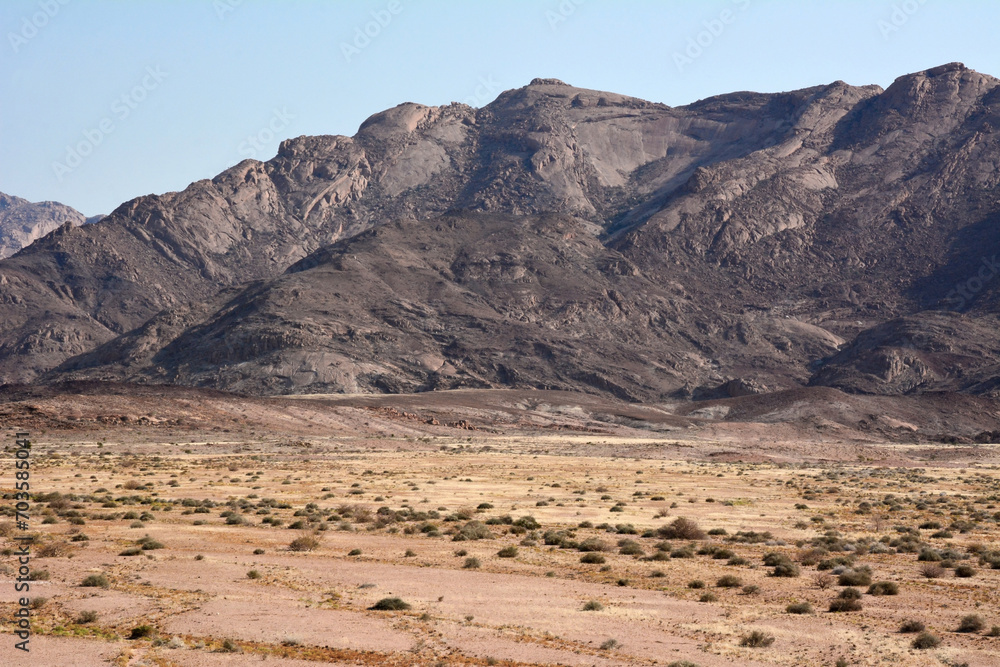 Arid sandy desert with rare shrubs. Small mountains are in the background. Natural landscape reserve