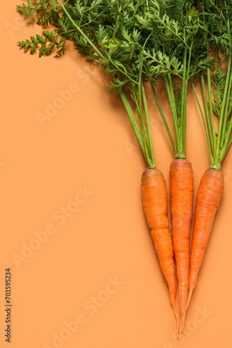 Fresh carrots with leaves on orange background