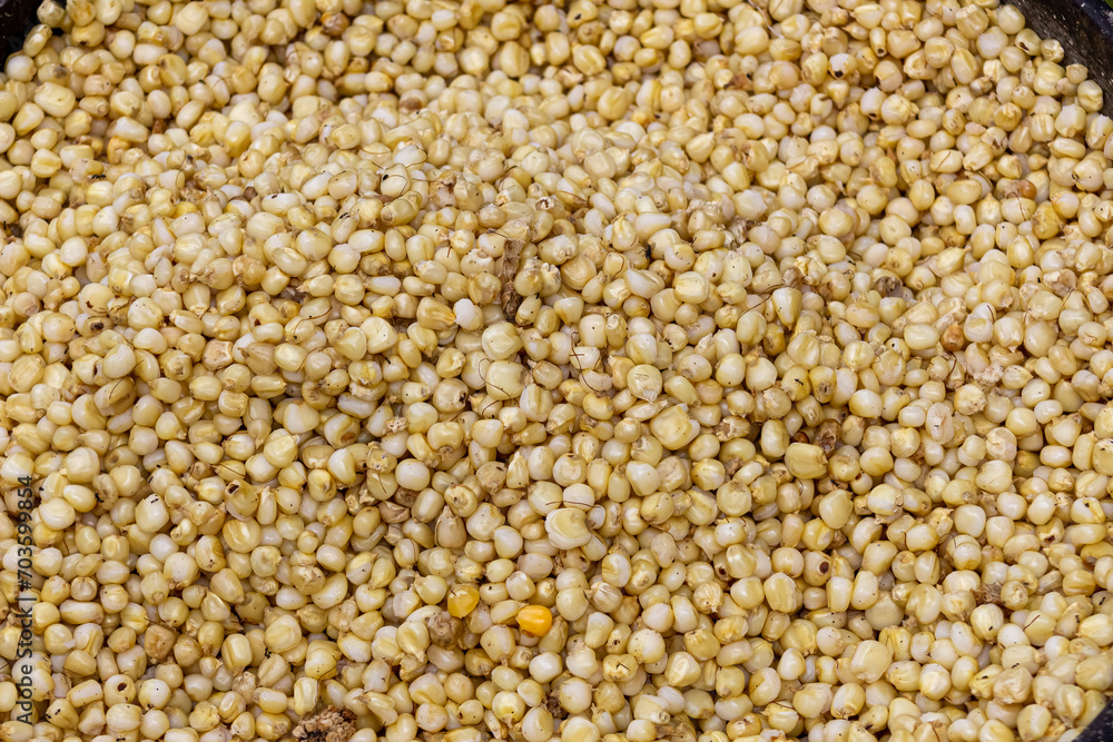 close up of grains close up of grains