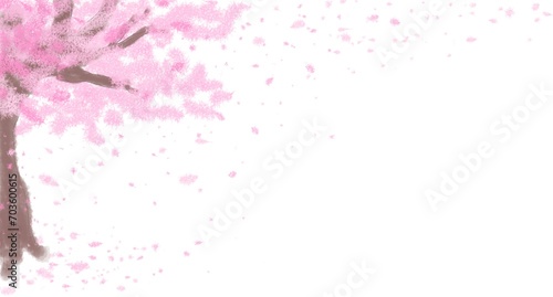 Pink sakura tree isolated on White background.