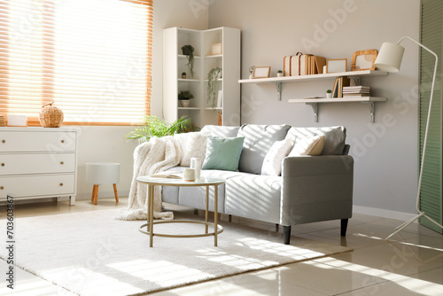 Interior of modern living room with comfortable sofa and table