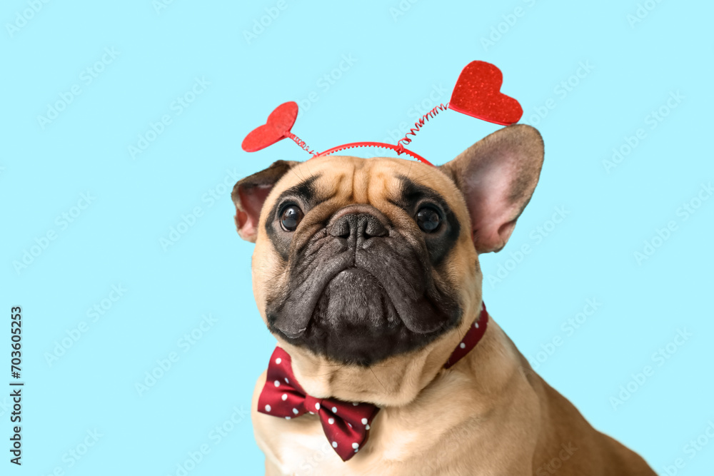 Cute French bulldog in hairband with hearts on blue background. Valentine's Day celebration