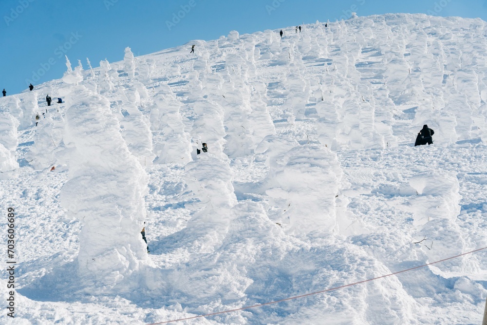 蔵王の樹氷やスキー場の風景