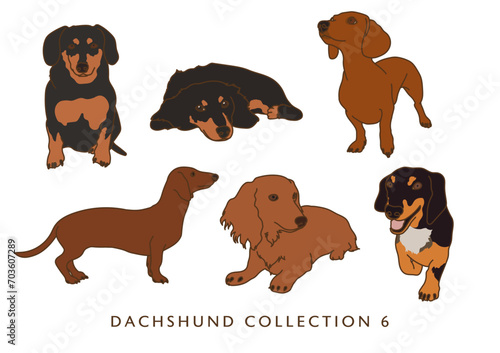 Dachshund Weiner Dog Illustration - In Color - Many Poses - Collection 6