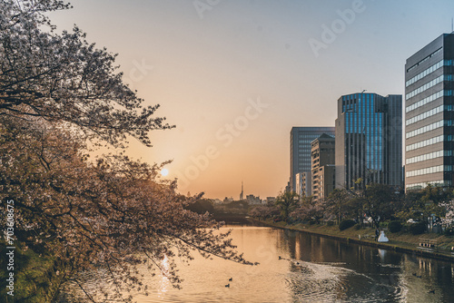 福岡　大濠公園　春