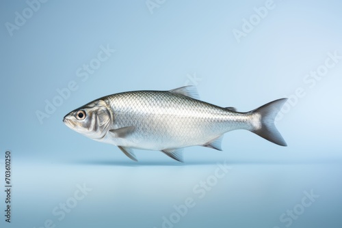 A sharp photo presents an arctic fish, resembling a half fish with fish skin, standing on a blue surface.