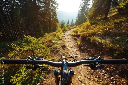 Exhilarating mountain biking adventure through a forest trail