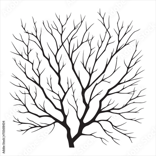 vector black silhouette of a bare tree, Naked Tree vector silhouette, isolated white background