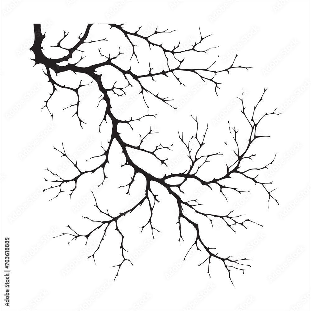 Fototapeta premium a naked tree branches vector silhouette black color illustration