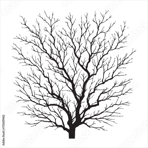 a naked tree branches vector silhouette black color illustration